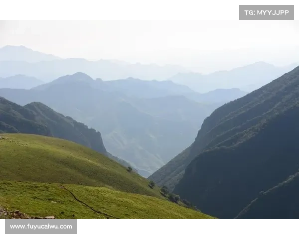 斗战神羊仙真身揭秘五个鲜为人知的震撼真相 斗战神羊仙真身揭秘五个鲜为人知的震撼真相
